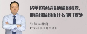 我单位领导指使偷税被查，那偷税漏税由什么部门查处