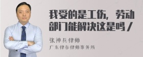 我受的是工伤，劳动部门能解决这是吗／