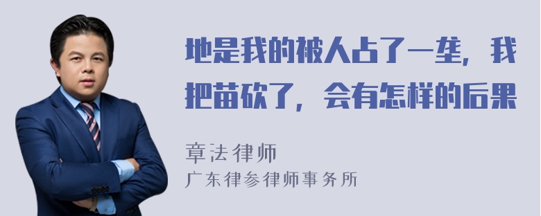 地是我的被人占了一垄，我把苗砍了，会有怎样的后果