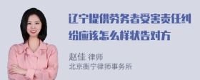 辽宁提供劳务者受害责任纠纷应该怎么样状告对方