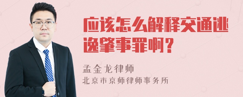 应该怎么解释交通逃逸肇事罪啊？