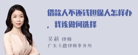 借款人不还钱担保人怎样办，我该做何选择