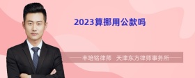 2023算挪用公款吗