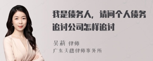 我是债务人，请问个人债务追讨公司怎样追讨