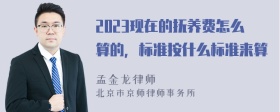 2023现在的抚养费怎么算的，标准按什么标准来算