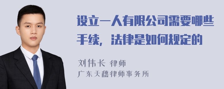 设立一人有限公司需要哪些手续，法律是如何规定的