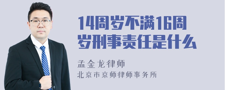 14周岁不满16周岁刑事责任是什么