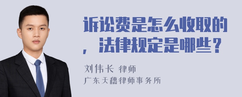 诉讼费是怎么收取的，法律规定是哪些？