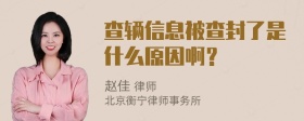 查辆信息被查封了是什么原因啊？