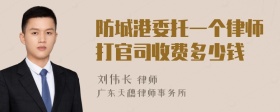 防城港委托一个律师打官司收费多少钱