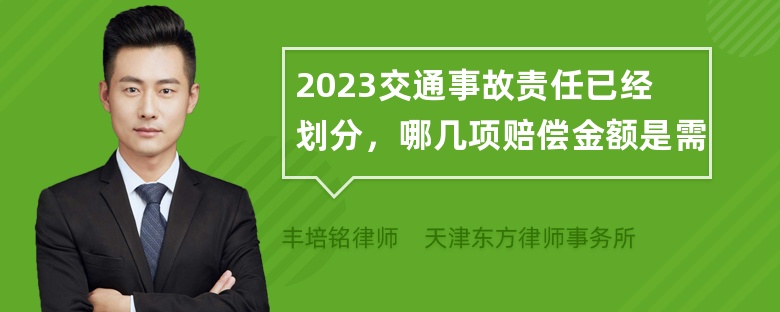 2023交通事故责任已经划分，哪几项赔偿金额是需