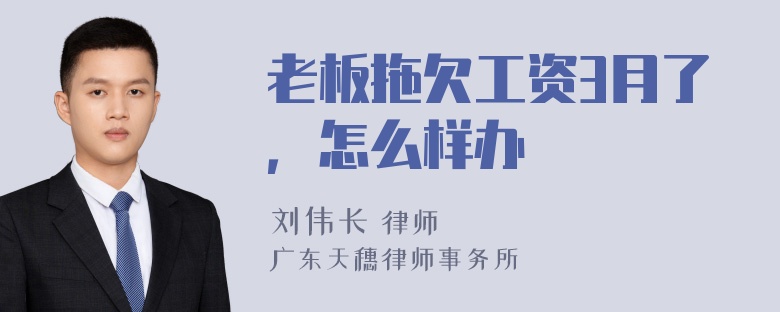 老板拖欠工资3月了，怎么样办