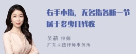 右手小指，无名指各断一节属于多少几残疾