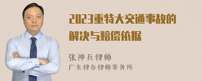 2023重特大交通事故的解决与赔偿依据