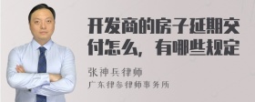 开发商的房子延期交付怎么，有哪些规定