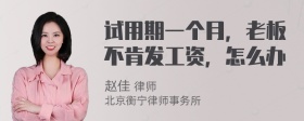 试用期一个月，老板不肯发工资，怎么办