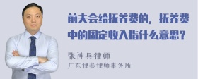 前夫会给抚养费的，抚养费中的固定收入指什么意思？