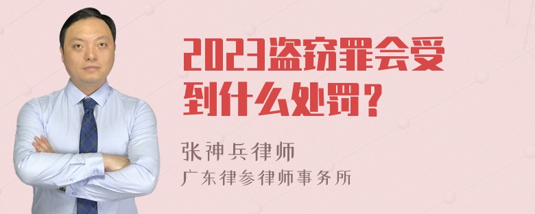 2023盗窃罪会受到什么处罚？