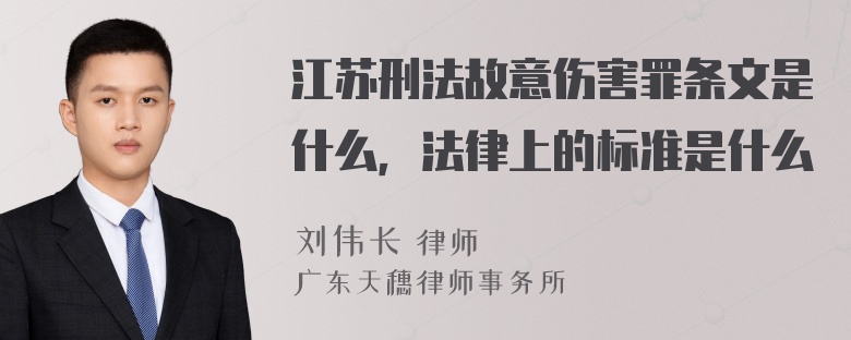 江苏刑法故意伤害罪条文是什么，法律上的标准是什么