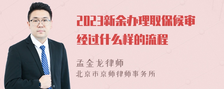 2023新余办理取保候审经过什么样的流程