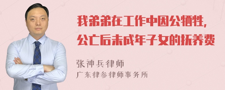 我弟弟在工作中因公牺牲，公亡后未成年子女的抚养费