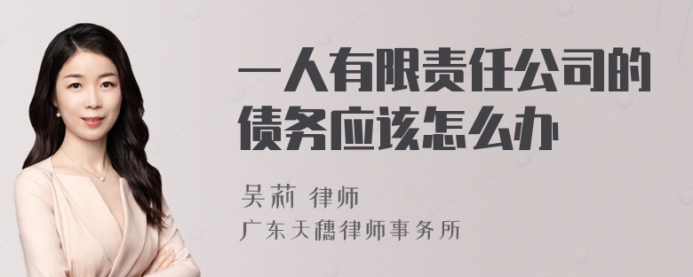 一人有限责任公司的债务应该怎么办