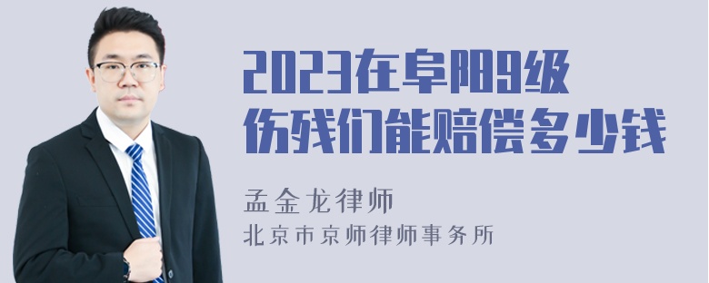 2023在阜阳9级伤残们能赔偿多少钱