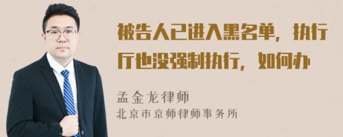 被告人已进入黑名单，执行厅也没强制执行，如何办