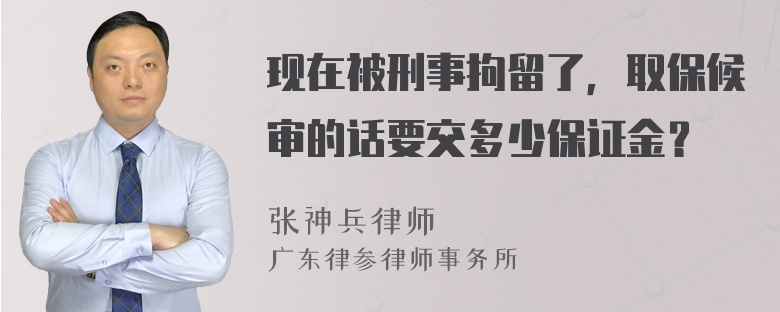 现在被刑事拘留了，取保候审的话要交多少保证金？