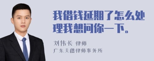 我借钱延期了怎么处理我想问你一下。