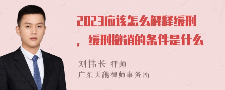 2023应该怎么解释缓刑，缓刑撤销的条件是什么