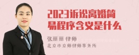 2023诉讼离婚简易程序含义是什么