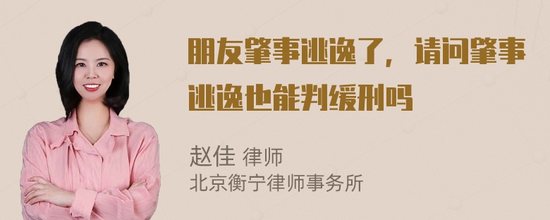 朋友肇事逃逸了，请问肇事逃逸也能判缓刑吗