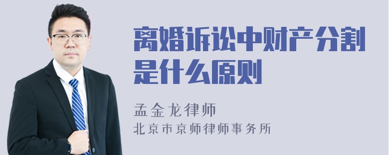 离婚诉讼中财产分割是什么原则
