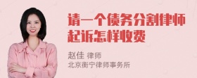 请一个债务分割律师起诉怎样收费