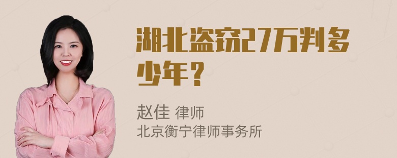 湖北盗窃27万判多少年？