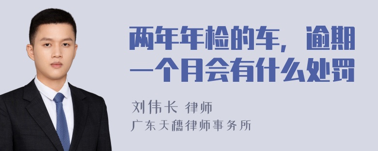 两年年检的车，逾期一个月会有什么处罚