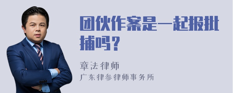 团伙作案是一起报批捕吗？