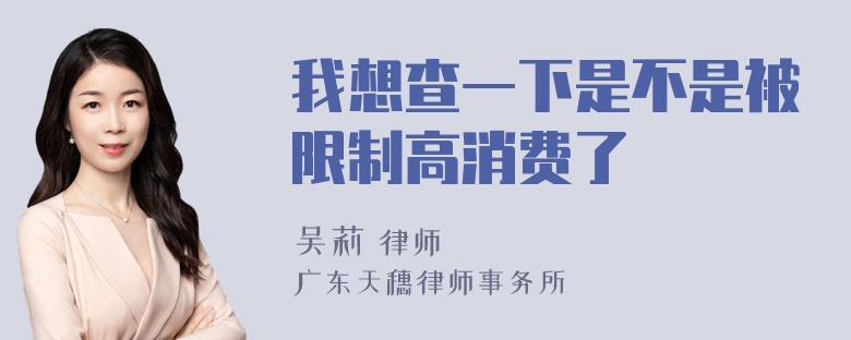 我想查一下是不是被限制高消费了