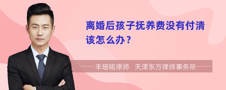 离婚后孩子抚养费没有付清该怎么办？