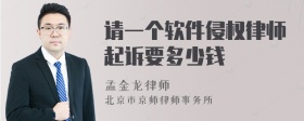 请一个软件侵权律师起诉要多少钱