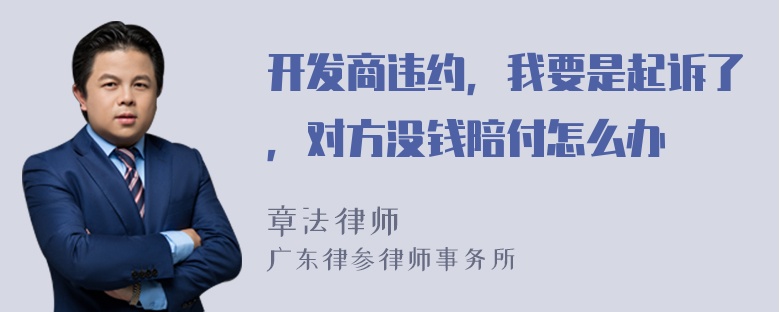 开发商违约，我要是起诉了，对方没钱陪付怎么办