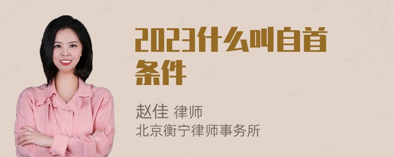 2023什么叫自首条件