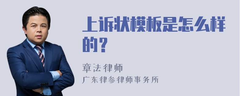 上诉状模板是怎么样的？