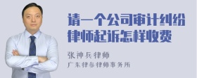 请一个公司审计纠纷律师起诉怎样收费