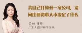 我自己打算开一家公司，请问注册资本大小决定了什么