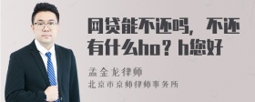 网贷能不还吗，不还有什么ho？h您好