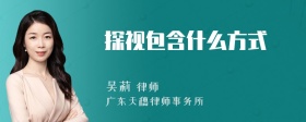 探视包含什么方式