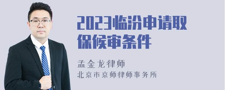 2023临汾申请取保候审条件