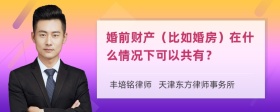 婚前财产（比如婚房）在什么情况下可以共有？